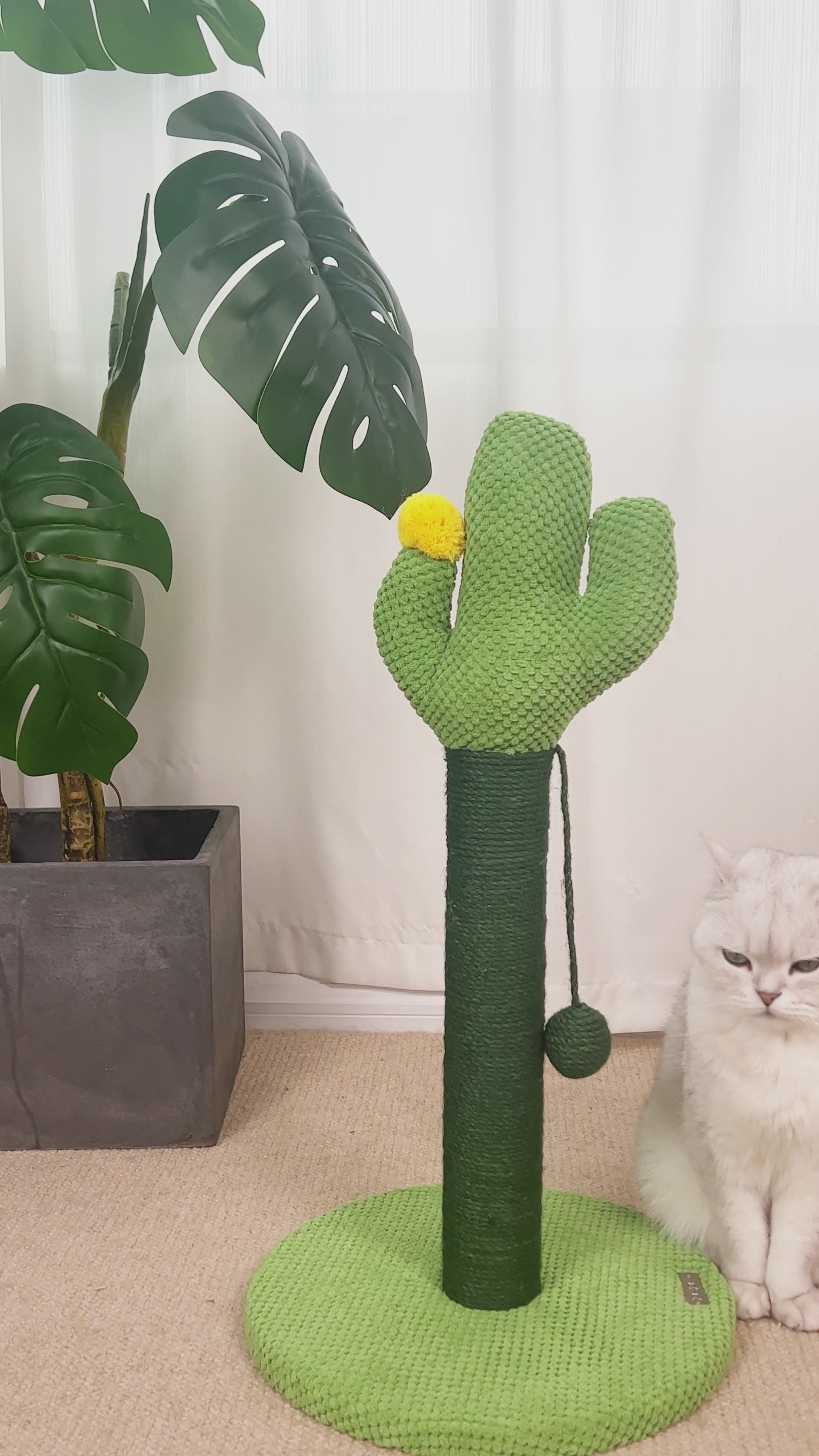 zeze Cactus Cat Scratching Post — Rope-Wound Column with Dangling Pom-Pom