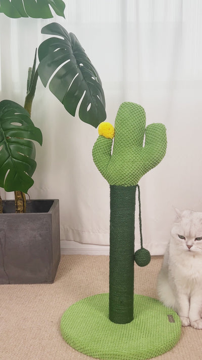 zeze Cactus Cat Scratching Post — Rope-Wound Column with Dangling Pom-Pom