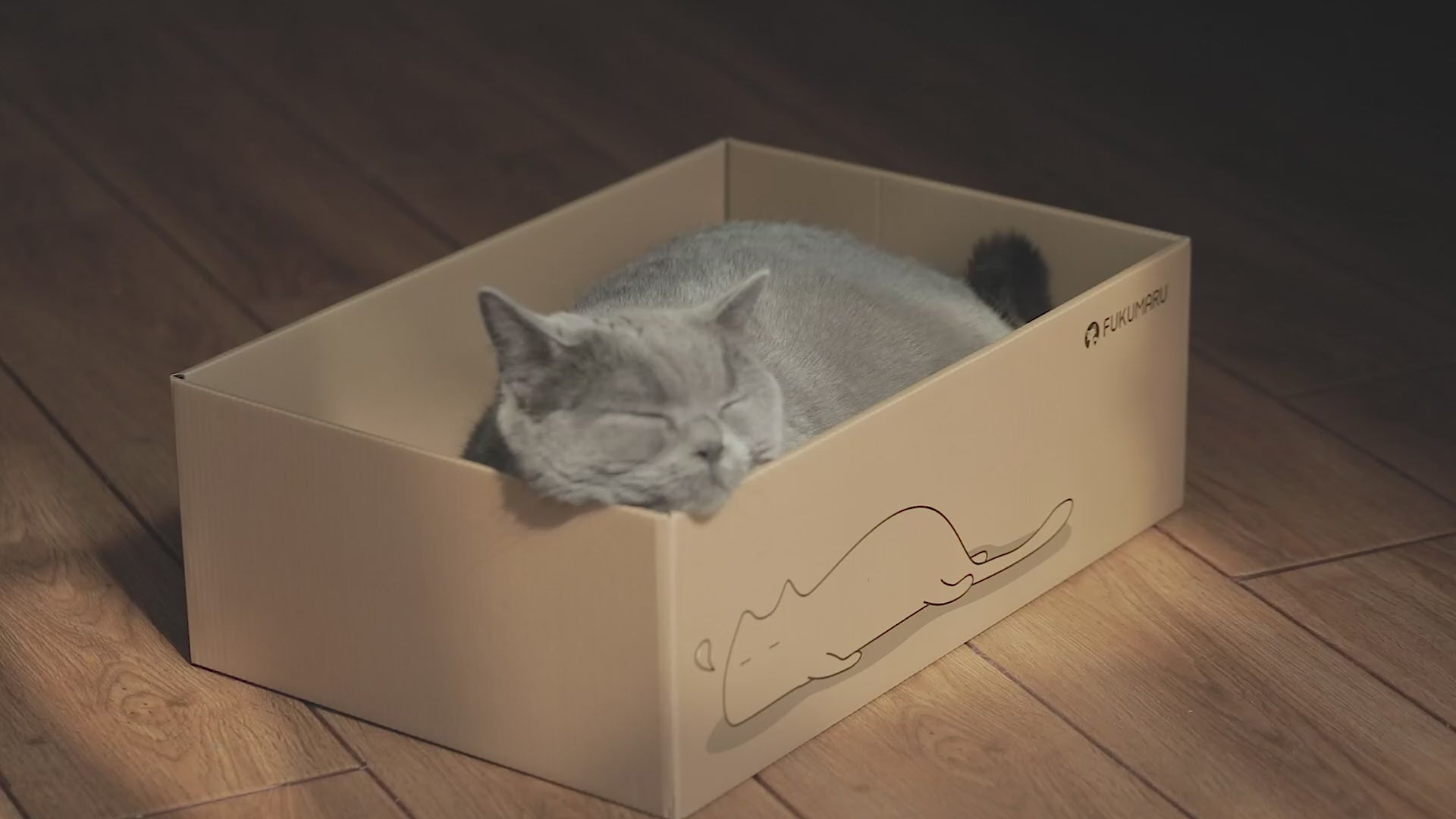 FUKUMARU cardboard cat scratcher — product video