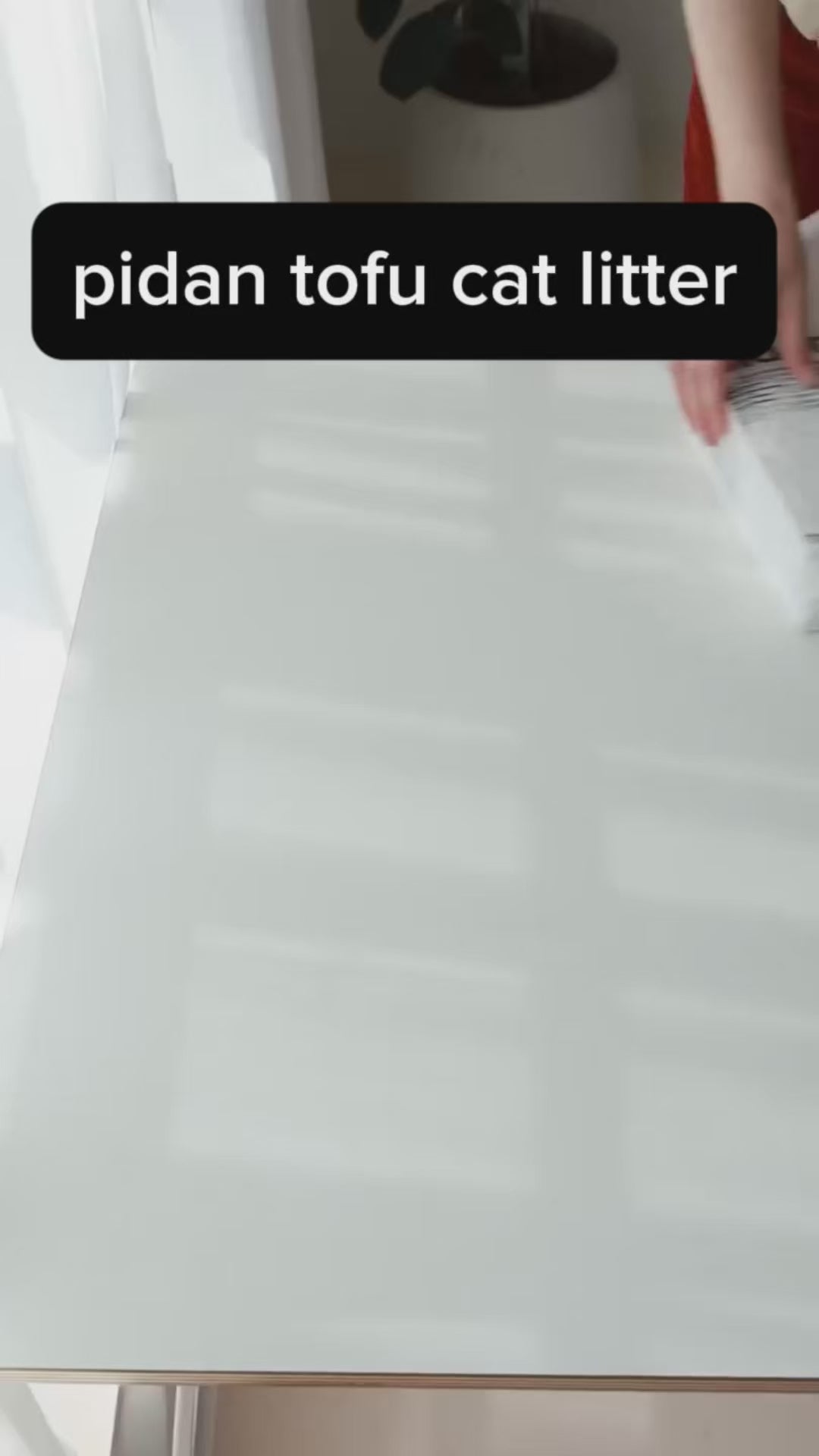 Customer video: pidan tofu litter absorbs fast