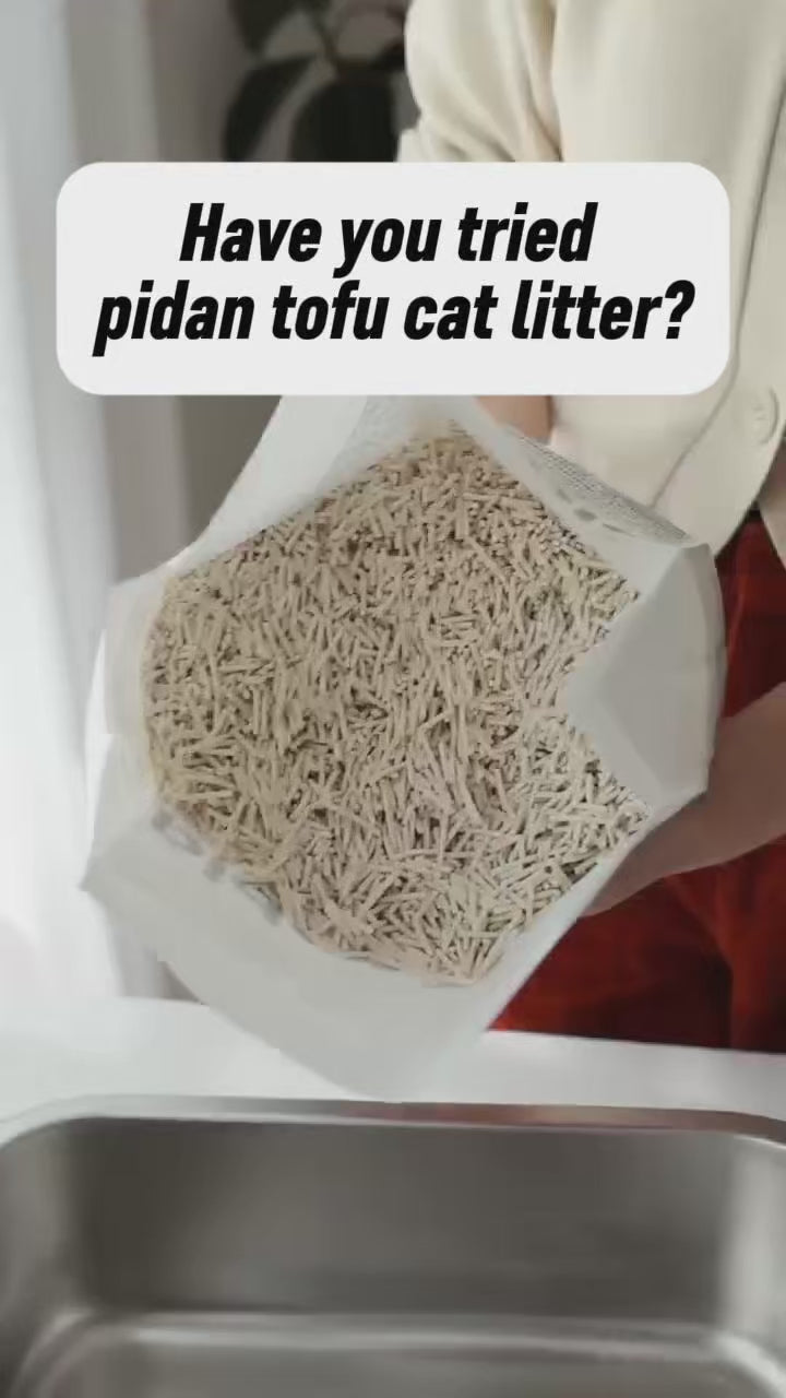 Customer video: pidan tofu litter locks in odours