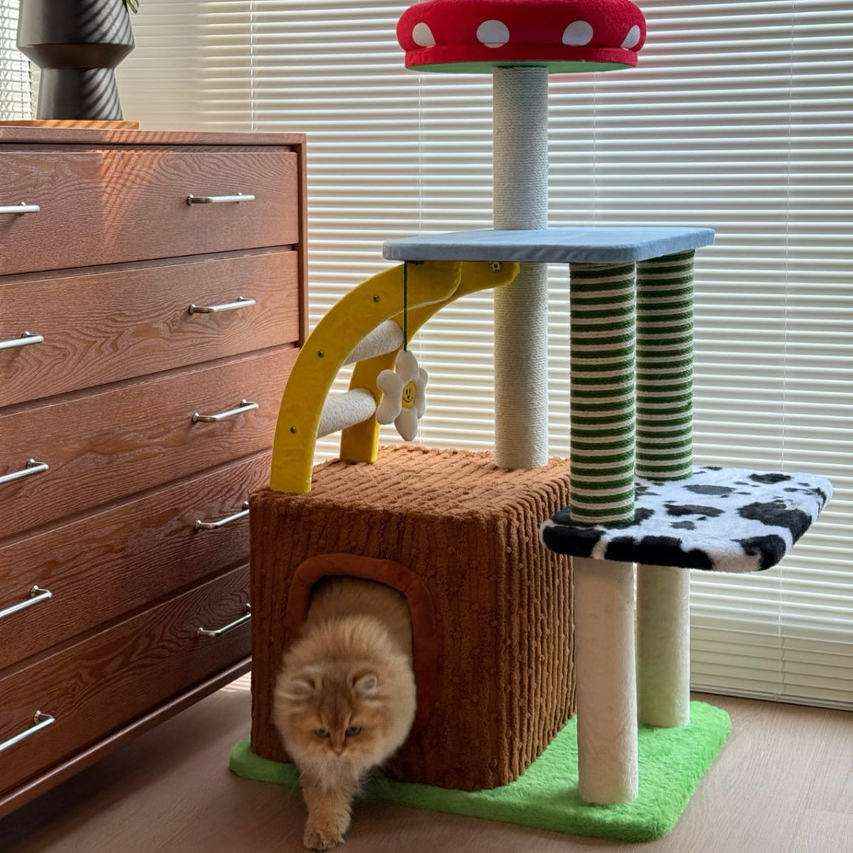 zeze 3-in-1 cat tree, customer photo with a cat leaving the condo