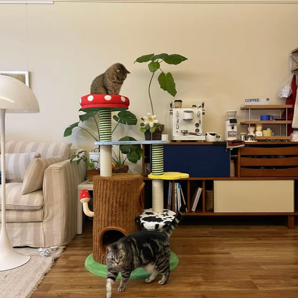 zeze Deluxe 3-in-1 cat tower, customer photo from across the room