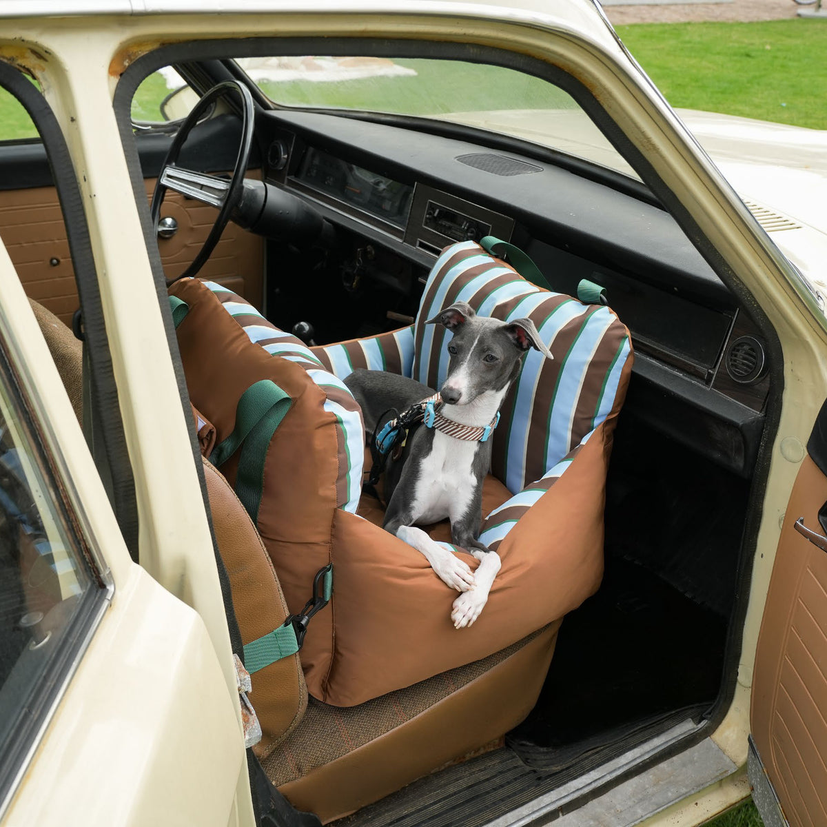 zeze Striped Pet Car Bed, dog in the car bed on a front seat
